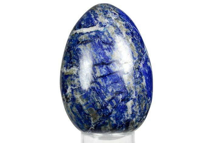 Polished Lapis Lazuli Egg - Pakistan #352565